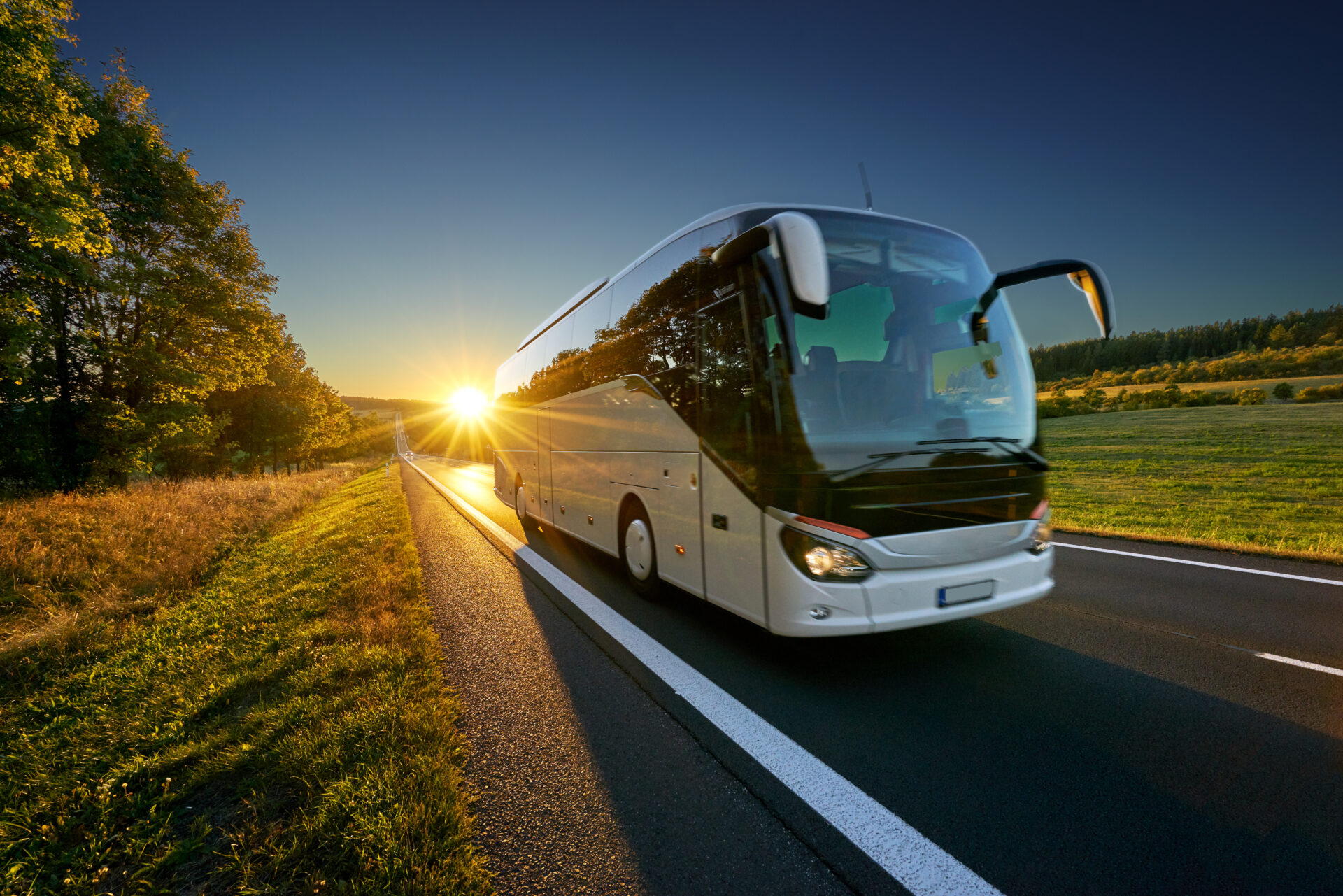 White bus traveling on the asphalt road around line of trees in